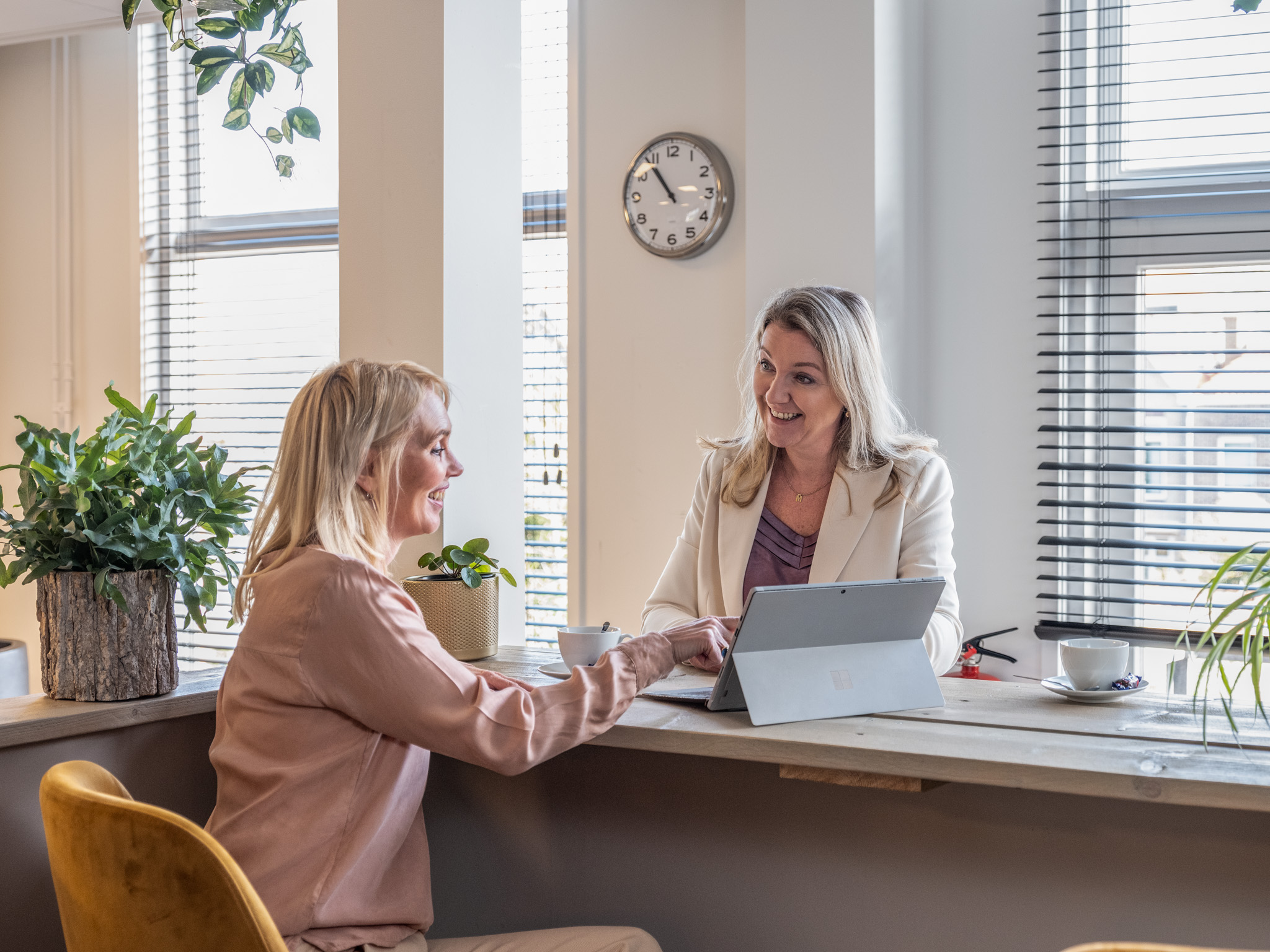 Vastgoed- en bedrijfsfinancieringen